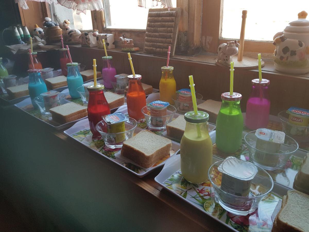 Hostal La Morenita Punta Arenas Eksteriør billede