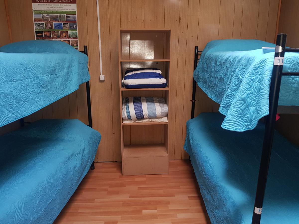 Hostal La Morenita Punta Arenas Eksteriør billede