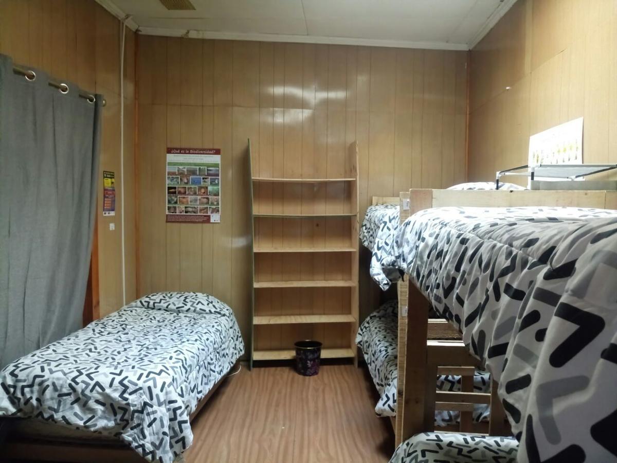 Hostal La Morenita Punta Arenas Eksteriør billede