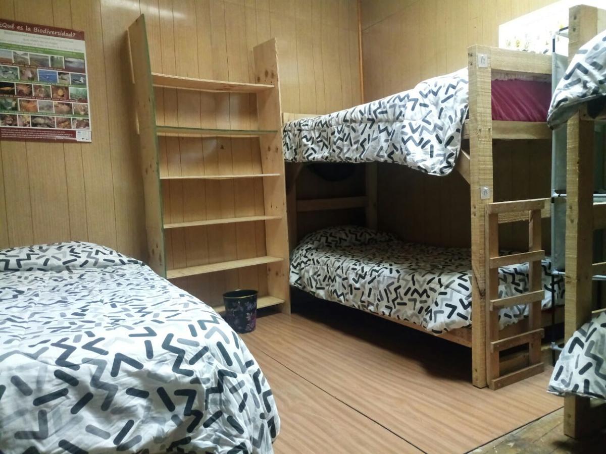 Hostal La Morenita Punta Arenas Eksteriør billede